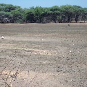 Hunting in Namibia