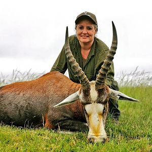 Blesbok Hunting South Africa