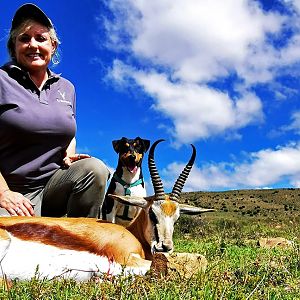 Springbok Hunting South Africa