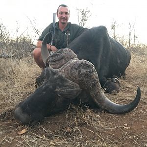 South Africa Hunting Buffalo