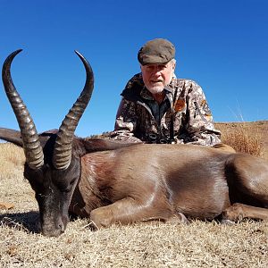 South Africa Hunting Black Springbok