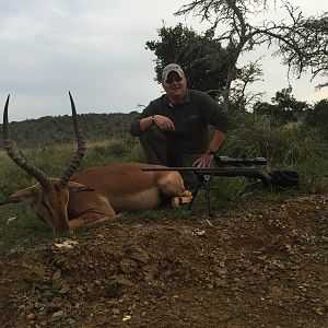 Impala Hunt South Africa