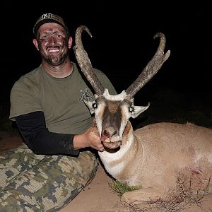 Pronghorn Antelope Hunting Arizona USA