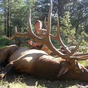 Hunt Elk in Arizona USA