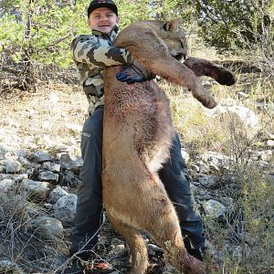 Mountain Lion Hunt Arizona USA