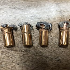 Hornady DGX Bullet Performance