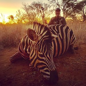 Burchell's Plain Zebra Hunting South Africa