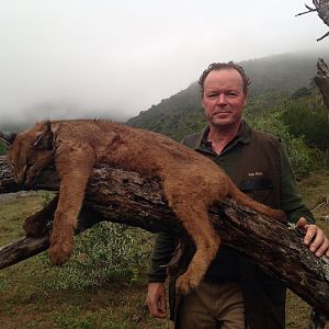 South Africa Hunting Caracal