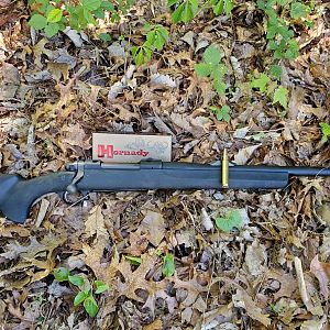 .375 Ruger Rifle