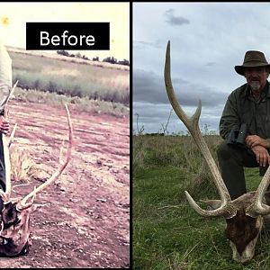 Have you ever imagine how was an axis deer  hunt in Argentina 40 years ago?