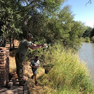 Fishing on the Mighty Limpopo river with Monterra Safaris