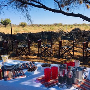 Lunch in bush