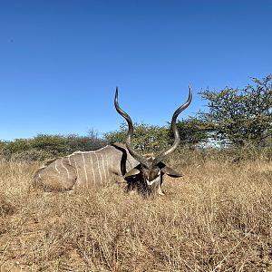 Kudu bull hunting with ZBS