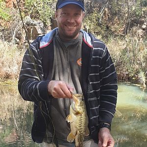 Fishing Bass in South Africa