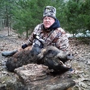 USA Hunting Wild Boar