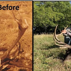 Argentina Hunt 40 years ago and now