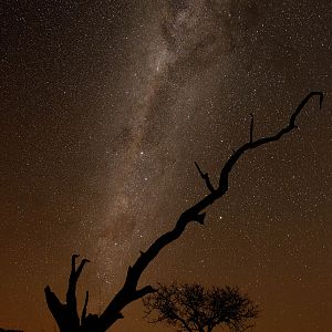 Stars at Night South Africa