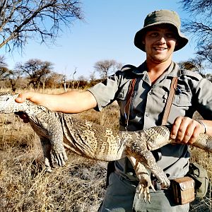 Monitor Lizard South Africa