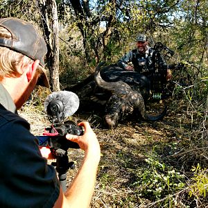 Buffalo Hunting South Africa