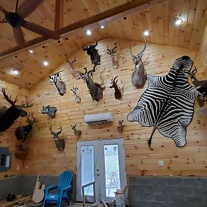 Trophy Room