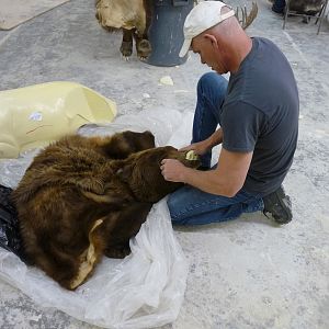 Behind the Scenes: Bear Mount