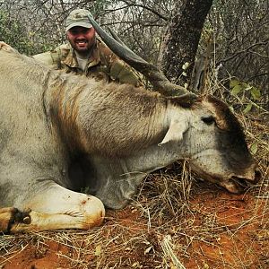 Hunting Eland in South Africa