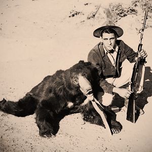 India Hunt Sloth Bear