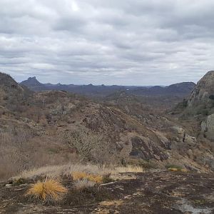 Zimbabwe Hunting Area