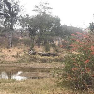 Zimbabwe Hunting Area