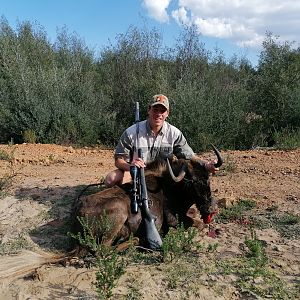 South Africa Hunting Black Wildebeest