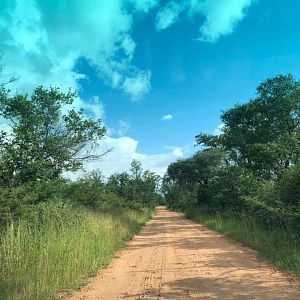 Hunting Area Zimbabwe