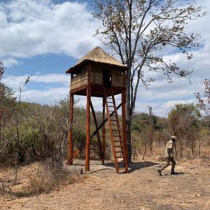 Observation towers for game management and trophy quality