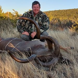 South Africa Hunting Kudu