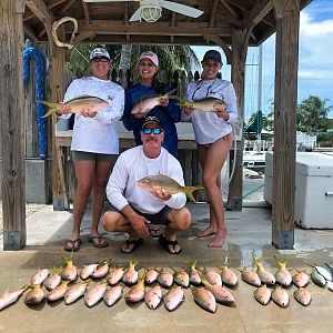 Florida Keys USA Fishing Yellowtail Snapper
