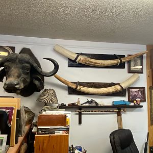 Trophy Room