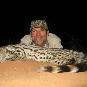 Genet Cat Hunting Sunset Safaris