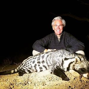 Civet Hunting Sunset Safaris