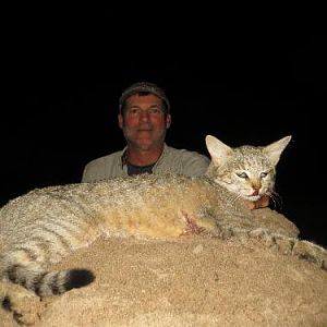 African Wildcat Hunting Sunset Safaris