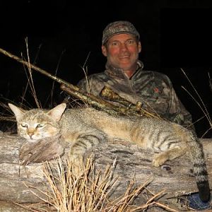 African Wildcat Hunting Sunset Safaris