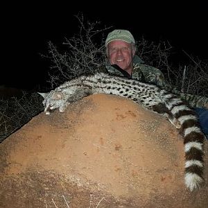 Genet Cat Hunting Sunset Safaris