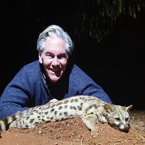 Genet Cat Hunting Sunset Safaris