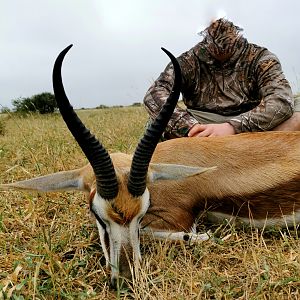 Springbok Hunt South Africa