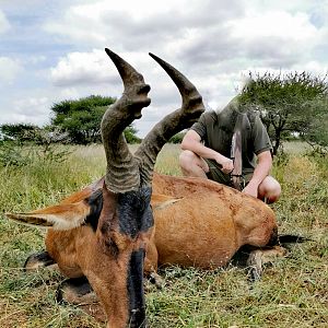 Hunt Red Hartebeest in South Africa