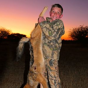 Jackal Hunting South Africa