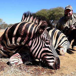 South Africa Hunt Burchell's Plain Zebra