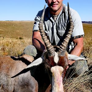 Blesbok Hunt South Africa