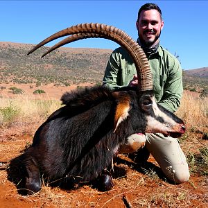 Sable Hunting South Africa