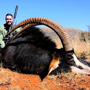 Hunting Sable in South Africa