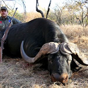 South Africa Hunting Buffalo