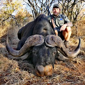 Buffalo Hunting South Africa